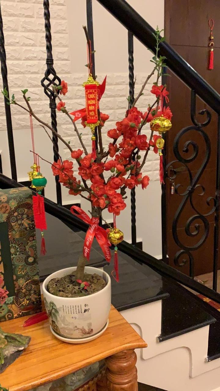 De Daisy Villa Homestay 大叻 外观 照片