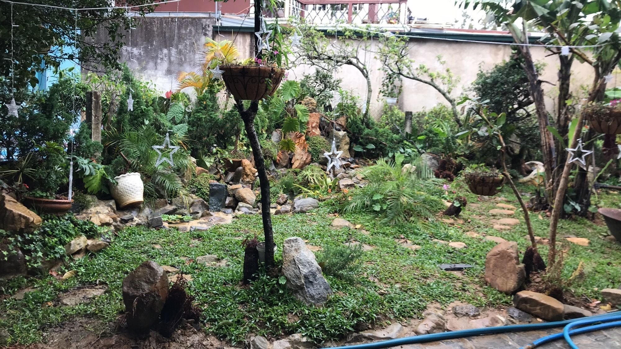 De Daisy Villa Homestay 大叻 外观 照片